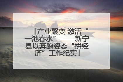产业聚变 激活“一池春水”——新宁县以奔跑姿态“拼经济”工作纪实
