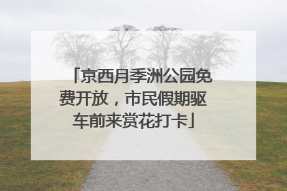 京西月季洲公园免费开放，市民假期驱车前来赏花打卡
