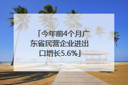 今年前4个月广东省民营企业进出口增长5.6%