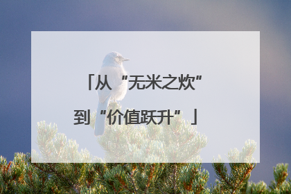 从“无米之炊”到“价值跃升”