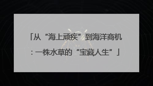 从“海上顽疾”到海洋商机：一株水草的“宝藏人生”