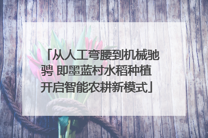 从人工弯腰到机械驰骋 即墨蓝村水稻种植开启智能农耕新模式