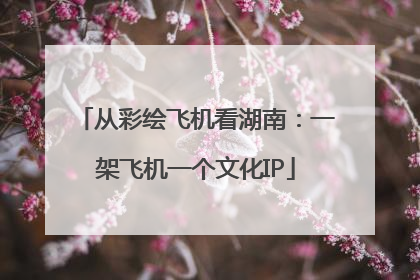 从彩绘飞机看湖南：一架飞机一个文化IP