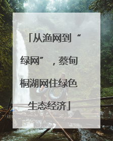 从渔网到“绿网”，蔡甸桐湖网住绿色生态经济