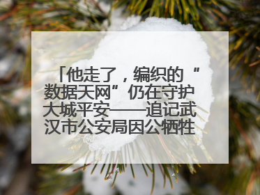 他走了，编织的“数据天网”仍在守护大城平安——追记武汉市公安局因公牺牲民警万松
