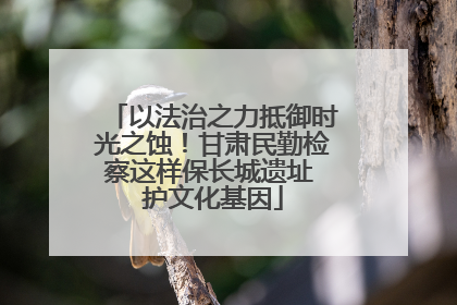 以法治之力抵御时光之蚀！甘肃民勤检察这样保长城遗址 护文化基因