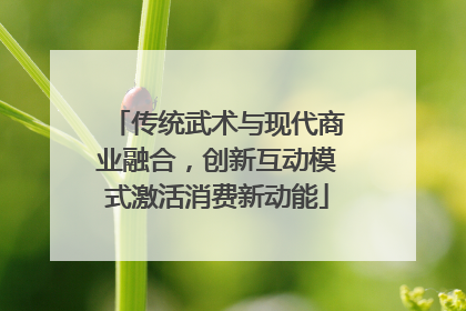 传统武术与现代商业融合，创新互动模式激活消费新动能
