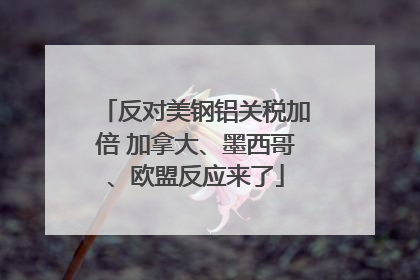 反对美钢铝关税加倍 加拿大、墨西哥、欧盟反应来了