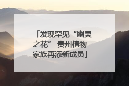 发现罕见“幽灵之花” 贵州植物家族再添新成员