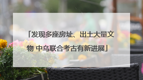 发现多座房址、出土大量文物 中乌联合考古有新进展