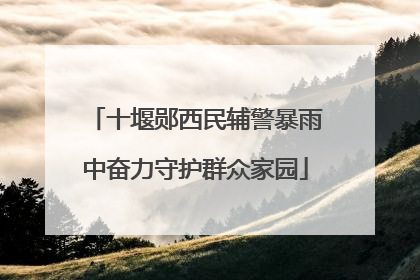 十堰郧西民辅警暴雨中奋力守护群众家园