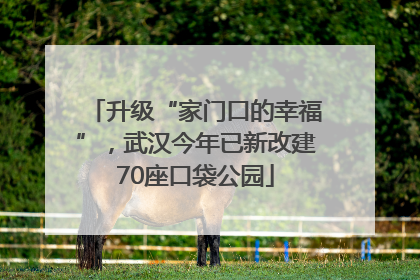 升级“家门口的幸福”，武汉今年已新改建70座口袋公园