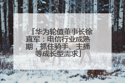 华为轮值董事长徐直军：电信行业成熟期，抓住骑手、主播等成长型需求