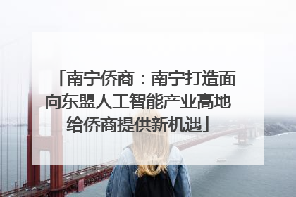 南宁侨商：南宁打造面向东盟人工智能产业高地给侨商提供新机遇
