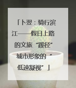 卜翌：骑行滨江——假日上路的文旅“蹊径” 城市形象的“低速凝视”