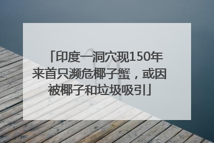 印度一洞穴现150年来首只濒危椰子蟹，或因被椰子和垃圾吸引