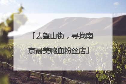 去望山街，寻找南京最美鸭血粉丝店