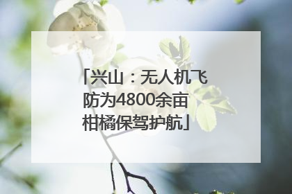 兴山：无人机飞防为4800余亩柑橘保驾护航
