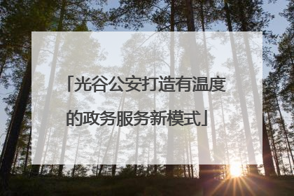 光谷公安打造有温度的政务服务新模式