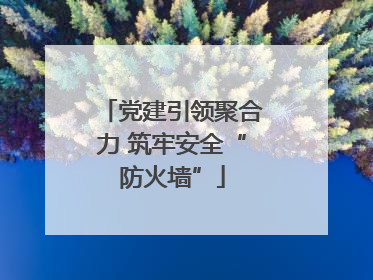 党建引领聚合力 筑牢安全“防火墙”