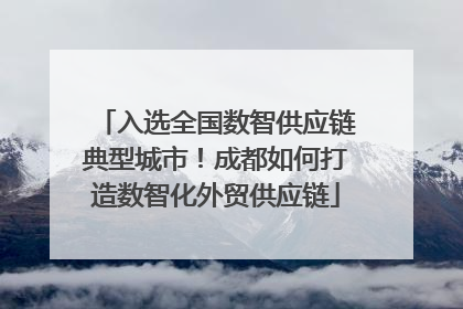 入选全国数智供应链典型城市！成都如何打造数智化外贸供应链