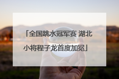 全国跳水冠军赛 湖北小将程子龙首度加冕