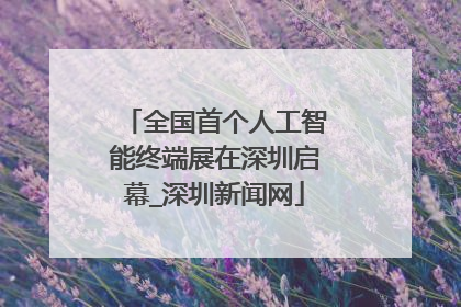 全国首个人工智能终端展在深圳启幕_深圳新闻网