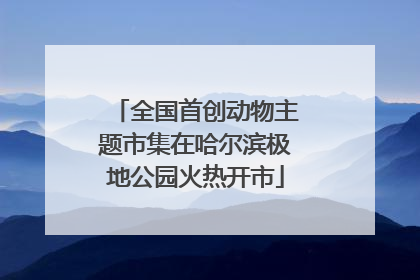 全国首创动物主题市集在哈尔滨极地公园火热开市