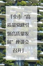 全市“高质量党建引领高质量发展”座谈会召开