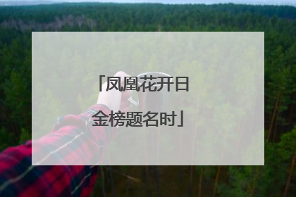凤凰花开日 金榜题名时