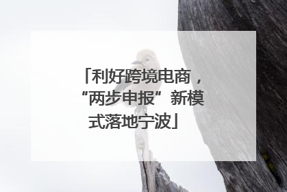 利好跨境电商，“两步申报”新模式落地宁波