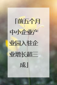 前五个月中小企业产业园入驻企业增长超三成