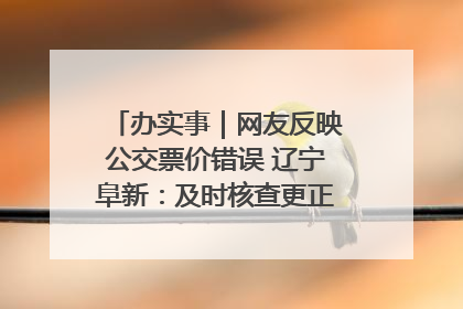 办实事｜网友反映公交票价错误 辽宁阜新：及时核查更正 加强实时巡检