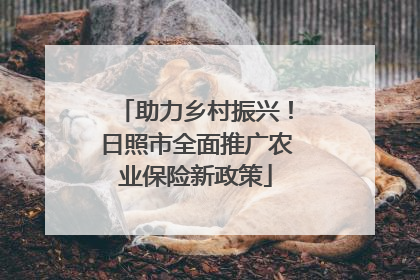 助力乡村振兴！日照市全面推广农业保险新政策