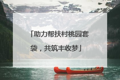 助力帮扶村桃园套袋，共筑丰收梦