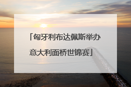 匈牙利布达佩斯举办意大利面桥世锦赛