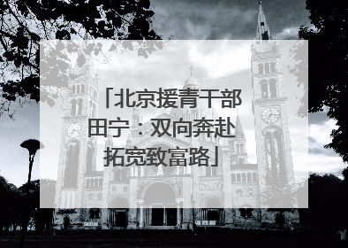 北京援青干部田宁：双向奔赴拓宽致富路
