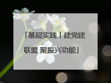 基层实践丨建党建联盟 聚振兴功能