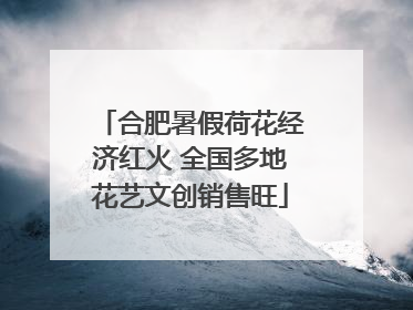 合肥暑假荷花经济红火 全国多地花艺文创销售旺