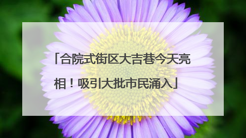 合院式街区大吉巷今天亮相！吸引大批市民涌入