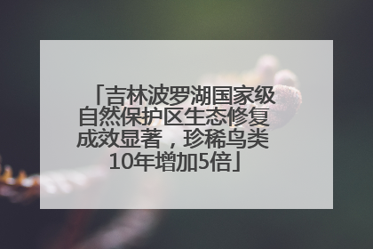 吉林波罗湖国家级自然保护区生态修复成效显著，珍稀鸟类10年增加5倍