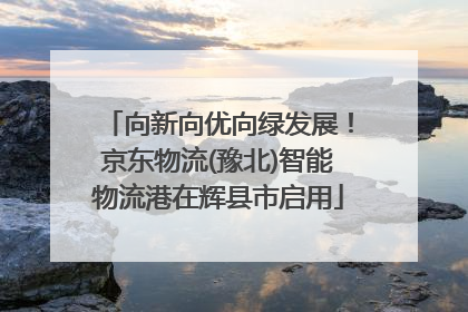 向新向优向绿发展！京东物流(豫北)智能物流港在辉县市启用