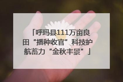 呼玛县111万亩良田“播种收官”科技护航蓄力“金秋丰景”