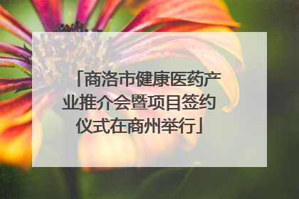 商洛市健康医药产业推介会暨项目签约仪式在商州举行