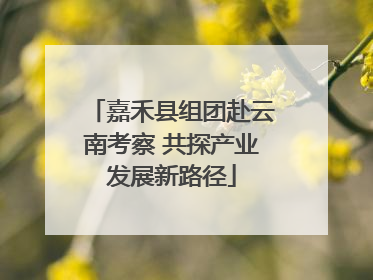 嘉禾县组团赴云南考察 共探产业发展新路径