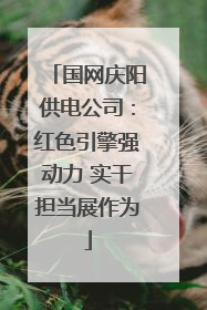 国网庆阳供电公司：红色引擎强动力 实干担当展作为