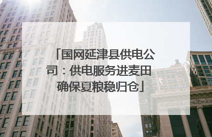 国网延津县供电公司：供电服务进麦田 确保夏粮稳归仓