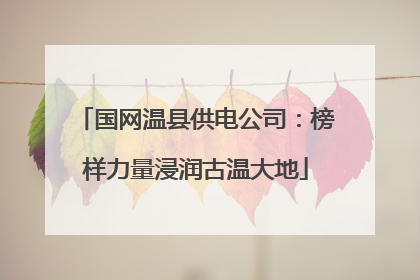 国网温县供电公司：榜样力量浸润古温大地