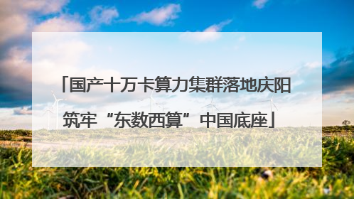 国产十万卡算力集群落地庆阳 筑牢“东数西算”中国底座
