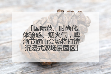 国际范、时尚化、体验感、烟火气，啤酒节崂山会场将打造沉浸式双场景园区